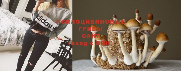 эйфоретик Козловка